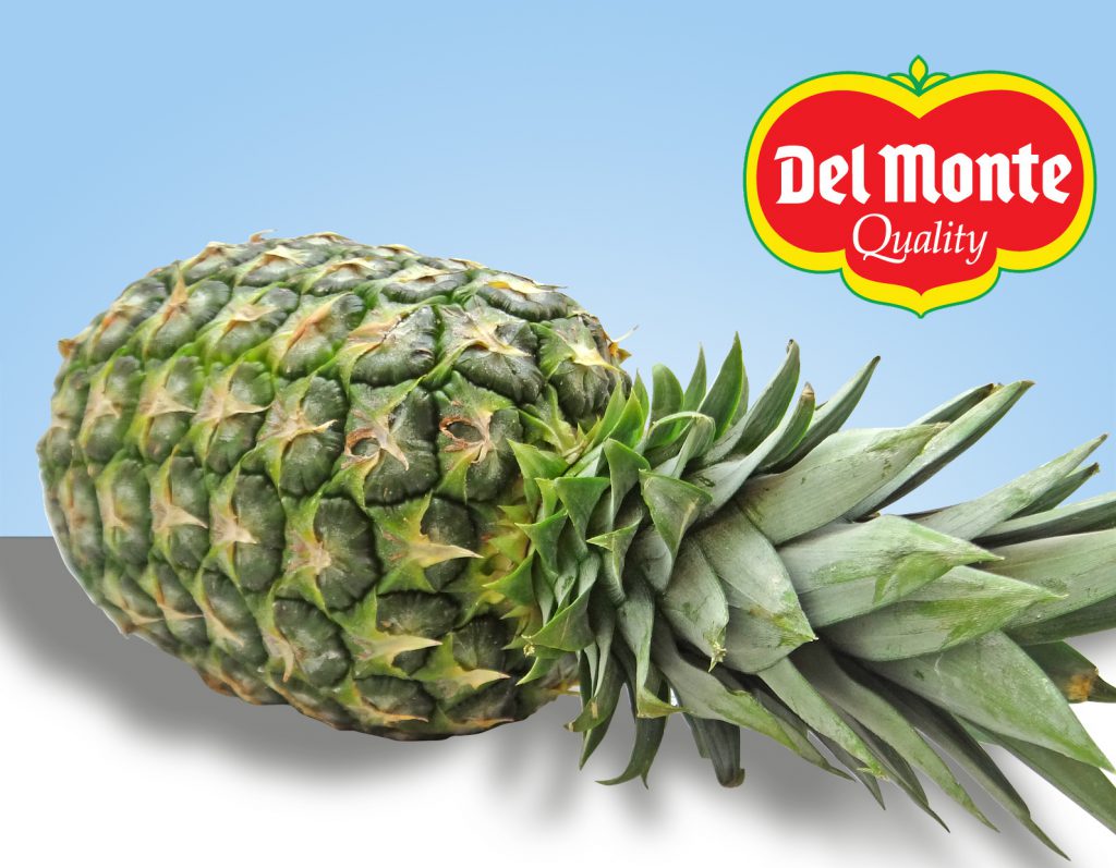 Fruta y Verdura a domicilio | Frutería online | Vivelafruta
