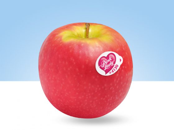 La manzana Pink Lady surge de la selección de las mejores variedades de manzana, como la variedad Cripps Pink o Rosy Glow o Sekzie.