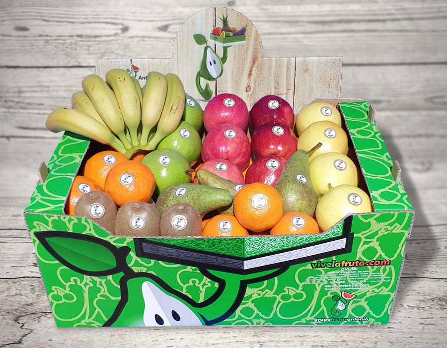 cestas de fruta especial para regalo