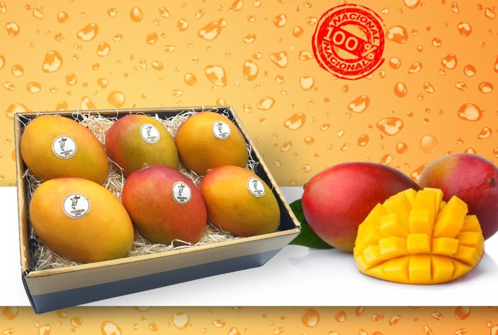 Imagen de una caja con 6 mangos, junto a un mango normal y otro abierto, representando la calidad de nuestros mangos nacionales