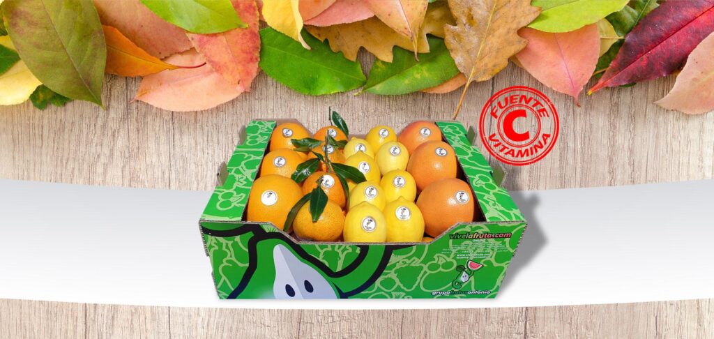 cesta citricos variados vitamina c