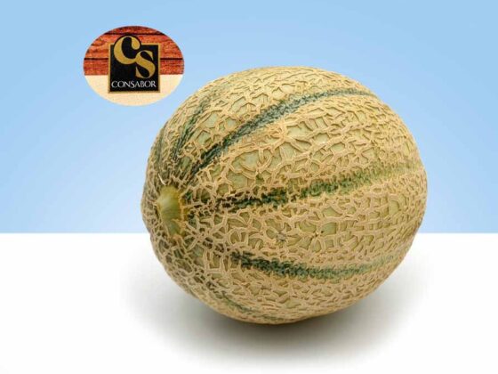 consabor marca de melones españoles