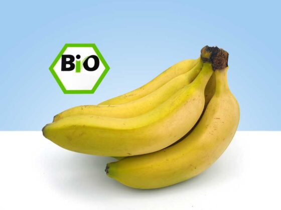 en canarias se cultivan los mejores platanos de europa cultivo ecologico