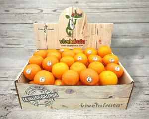 cesta de mandarinas o clementinas directamente del campo frutas antonio