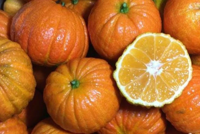 Mandarinas Halloweena™: Frescura de Halloween