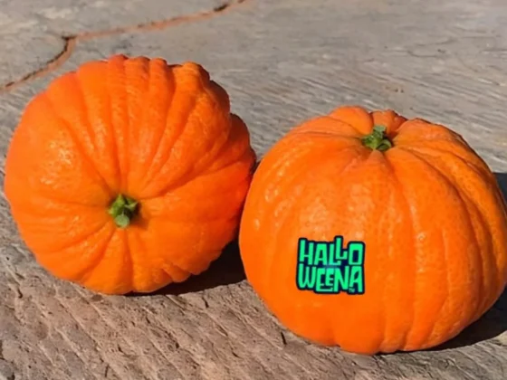 Mandarinas Halloweena™ con Etiqueta