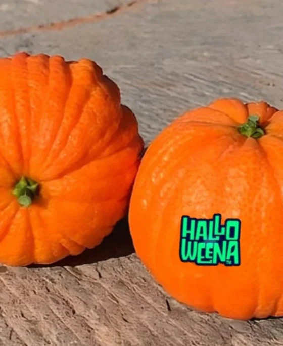 Mandarinas Halloweena™ con Etiqueta