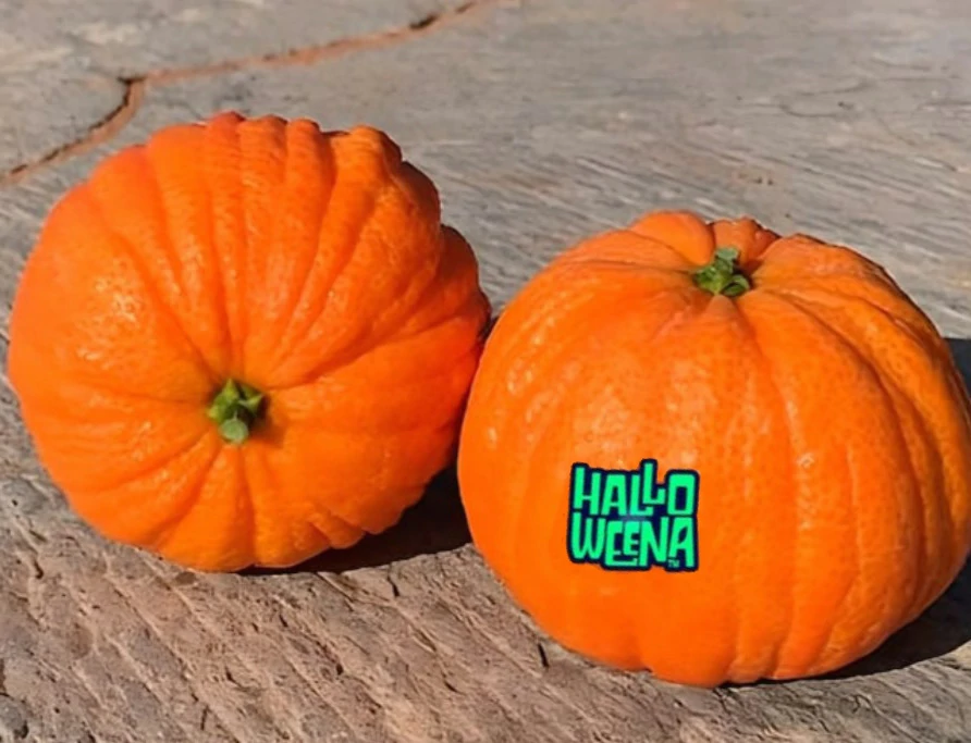 Mandarinas Halloweena™ con Etiqueta