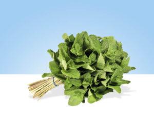 Imagen de un manojo de menta fresca y vibrante, con hojas verdes brillantes y un tallo firme.