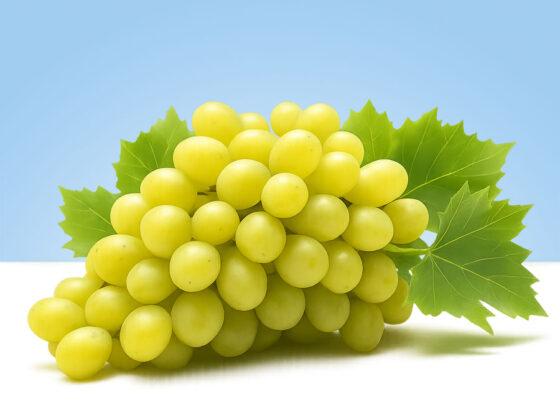 Uvas blancas sin semillas, frescas, en bandeja de 500 gramos