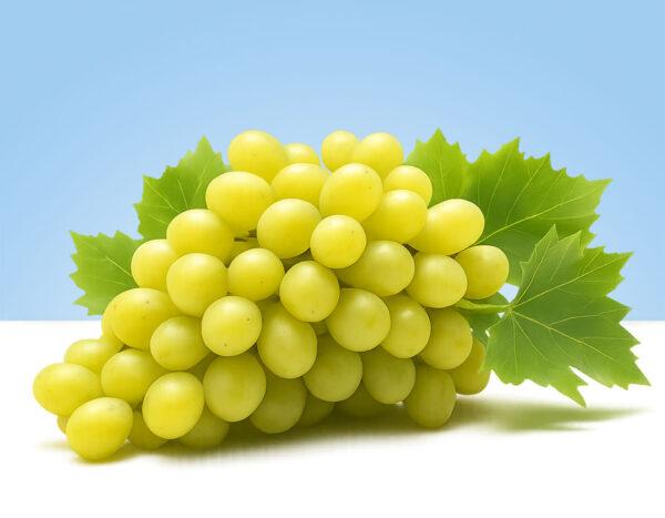 Uvas blancas sin semillas, frescas, en bandeja de 500 gramos