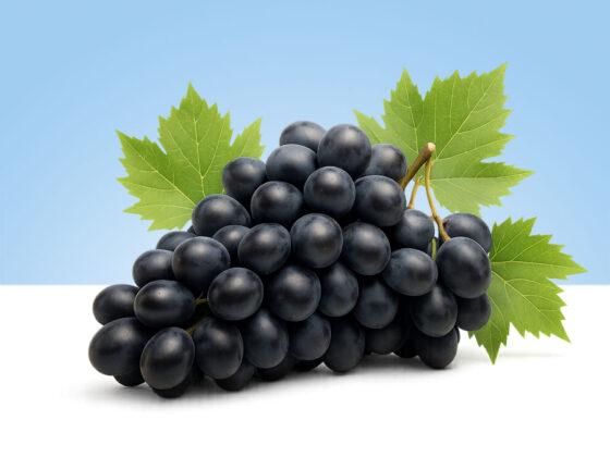 Uvas negras sin pepitas en bandeja de 500 gramos