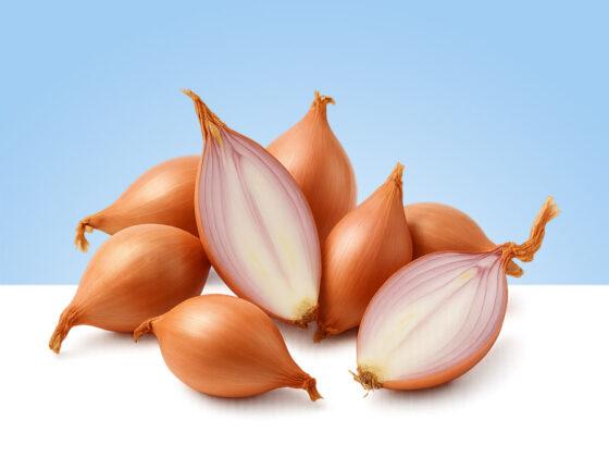 Cebolla chalota fresca en bolsa de 500 gramos